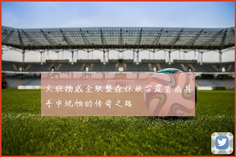文班扬威全联盟森林狼雷霆皆成其手中玩物的传奇之路