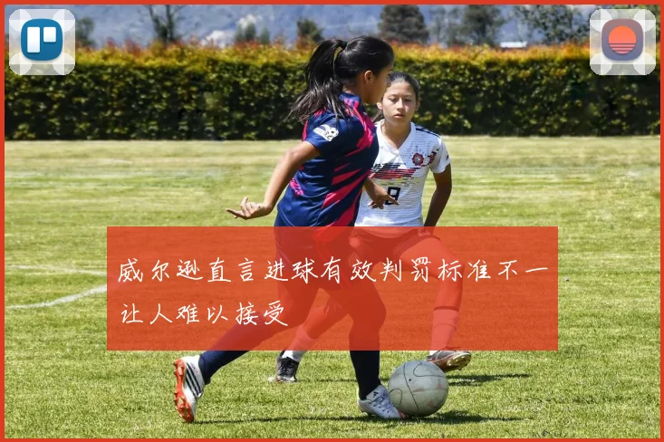 威尔逊直言进球有效判罚标准不一让人难以接受